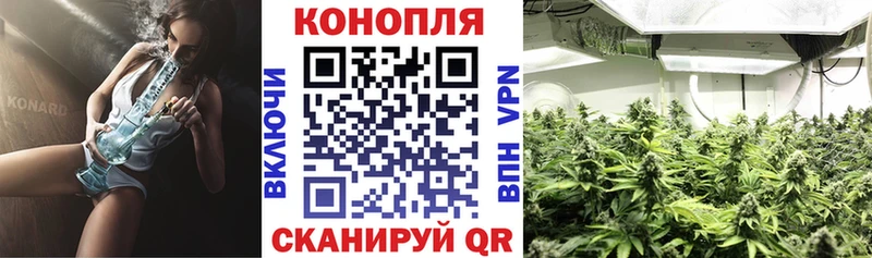 Альфа ПВП Байкальск