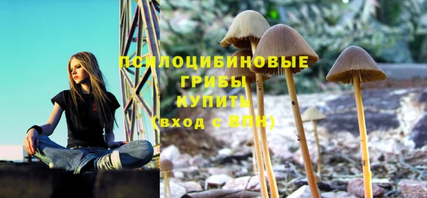 каннабис Арсеньев