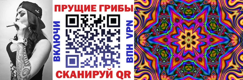 Псилоцибиновые грибы ЛСД  где продают   Байкальск 